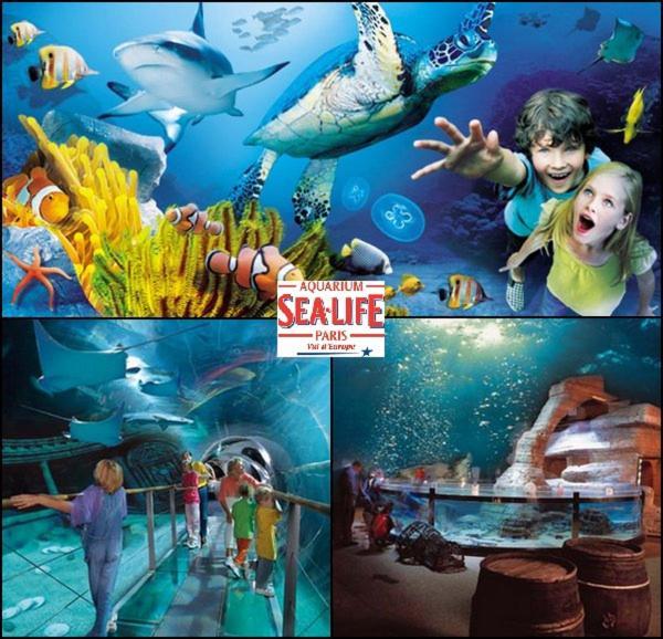 Disneyland Paris 6 Pers- Wifi - Disney Tv Wifi, Parking Chessy  Bagian luar foto